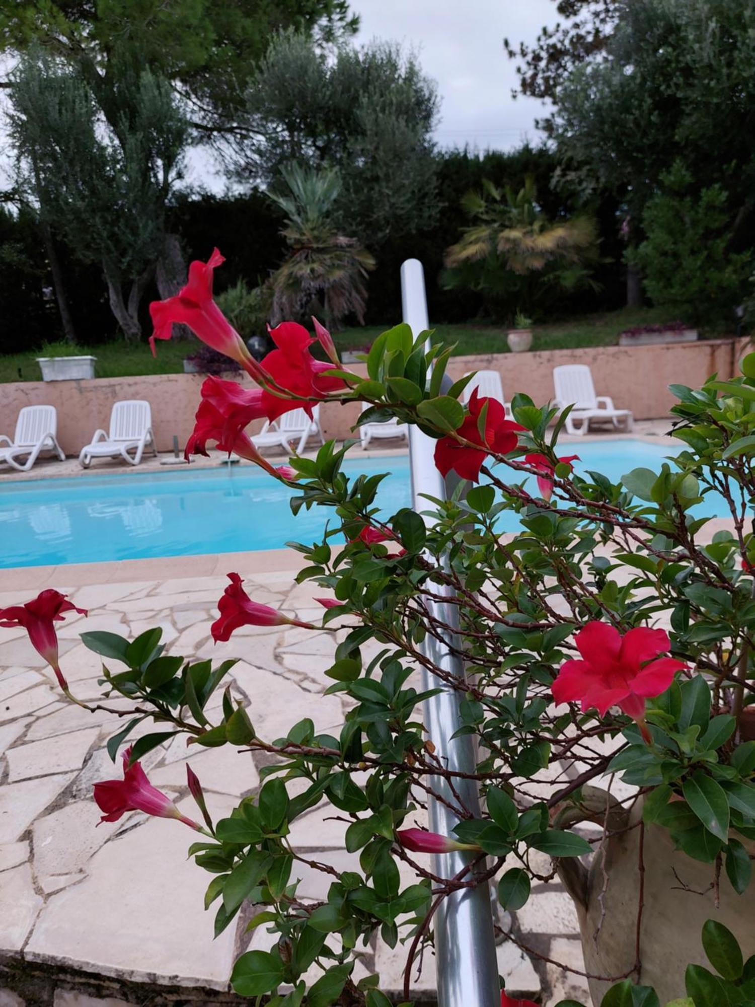 Bruyere Villa Antibes
