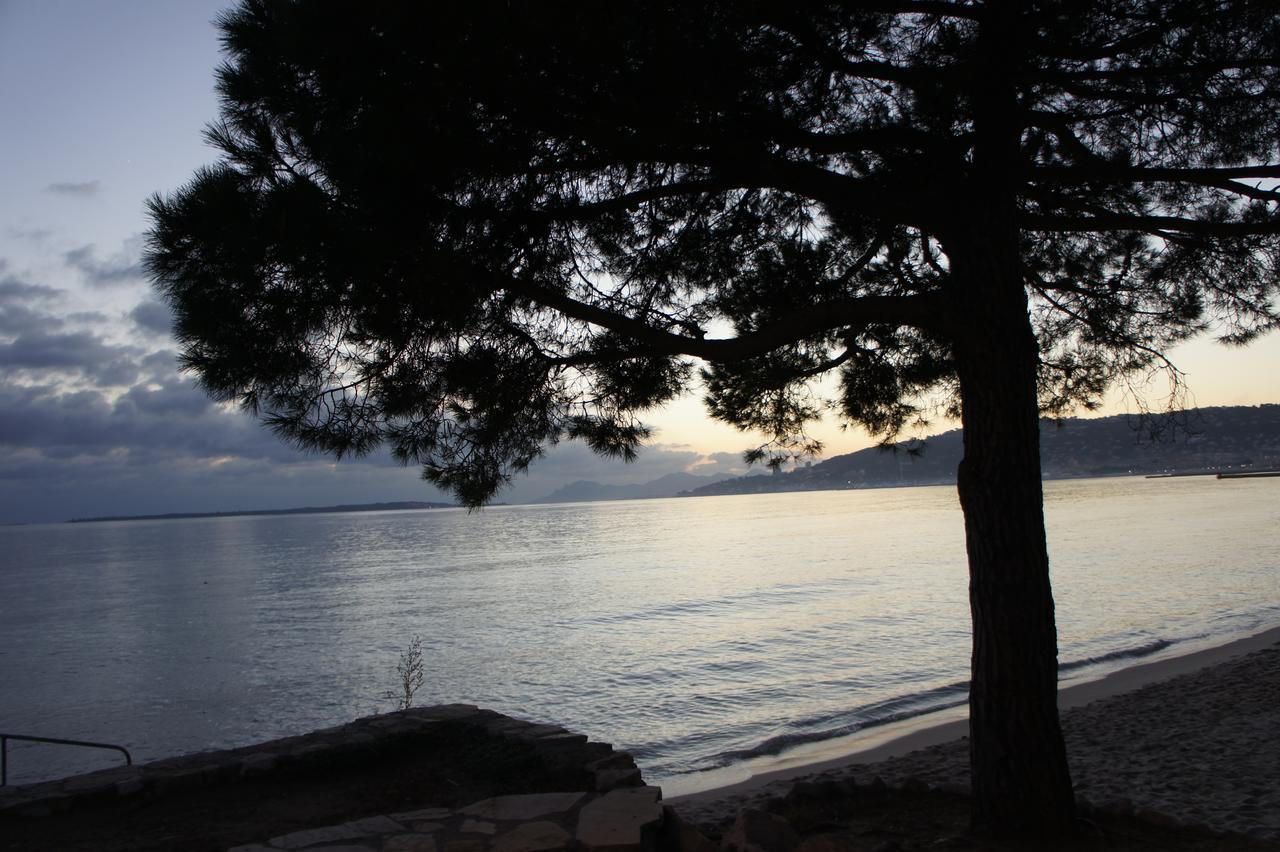 Bruyere * Antibes