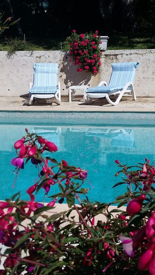 Bruyere Antibes