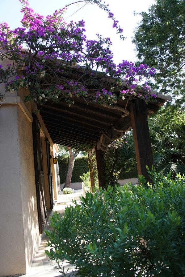 Bruyere * Antibes