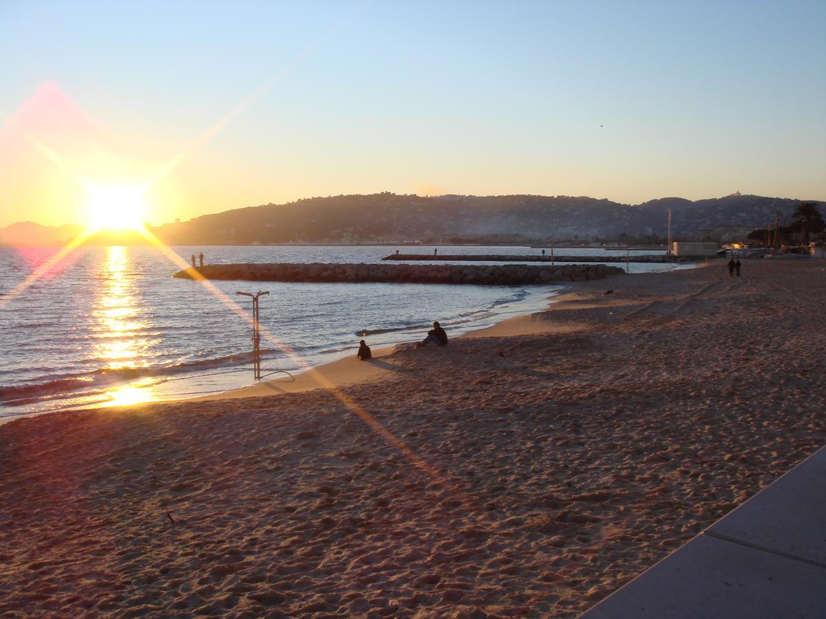 Bruyere * Antibes