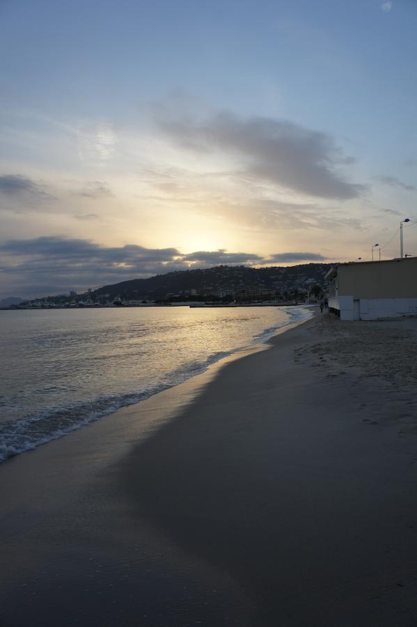 Bruyere Villa Antibes
