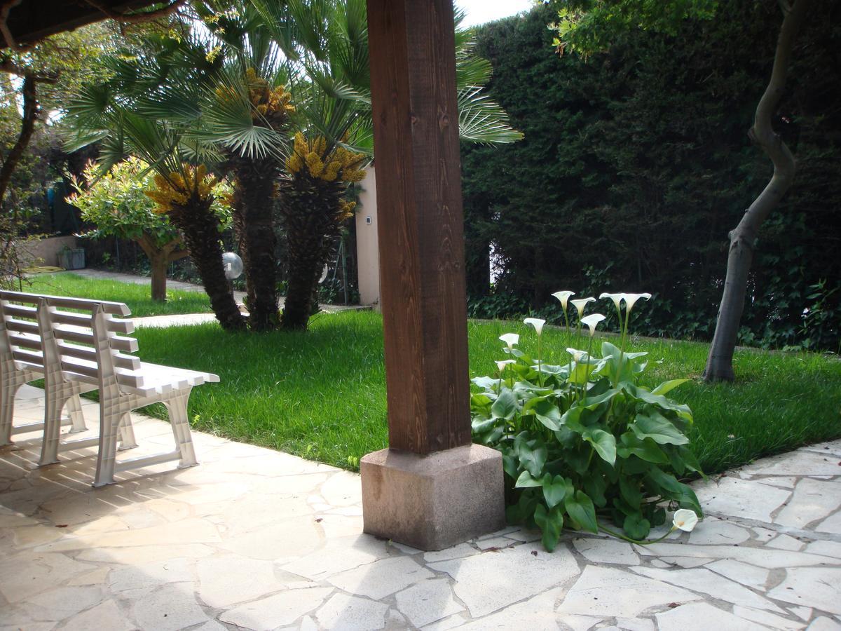 Bruyere Antibes
